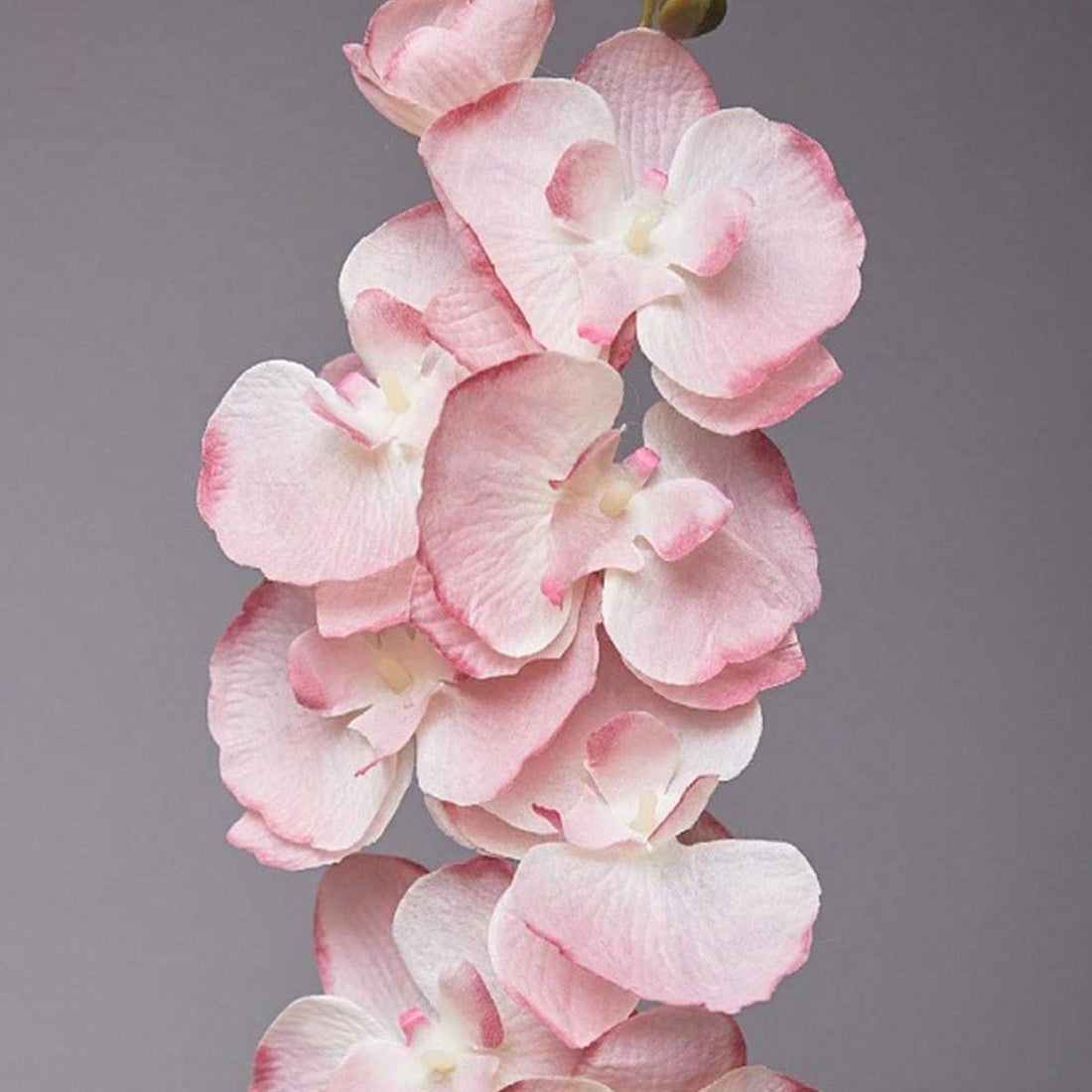 6 Pack 68cm/26.7' Artificial Phalaenopsis 26.7' Long Stem Non-Woven Fake Flowers European Photography Props Table Wedding Outdoor Home Decor Party Birthday, Valentine's Day, Mother's Day Gift Decoration...