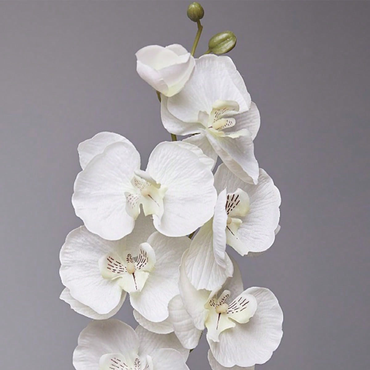 6 Pack 68cm/26.7' Artificial Phalaenopsis 26.7' Long Stem Non-Woven Fake Flowers European Photography Props Table Wedding Outdoor Home Decor Party Birthday, Valentine's Day, Mother's Day Gift Decoration...